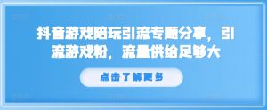 抖音游戏陪玩引流专题分享，引流游戏粉，流量供给足够大-风淘社