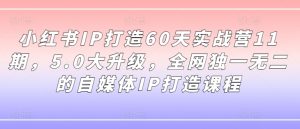 小红书IP打造60天实战营11期,5.0大升级,全网独一无二的自媒体IP打造课程-风淘社