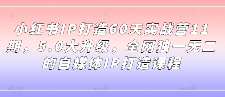小红书IP打造60天实战营11期,5.0大升级,全网独一无二的自媒体IP打造课程-风淘社
