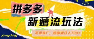 拼多多最新薅流玩法,无需开车推广,纯靠自然流吃饭-单纯赚50+利润,日入700+【揭秘】-风淘社