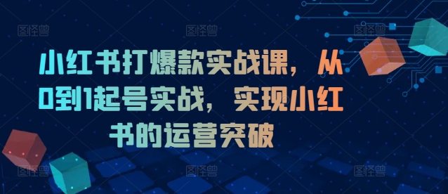小红书打爆款实战课，从0到1起号实战，实现小红书的运营突破-风淘社