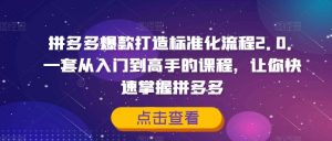 拼多多爆款打造标准化流程2.0,一套从入门到高手的课程,让你快速掌握拼多多-风淘社