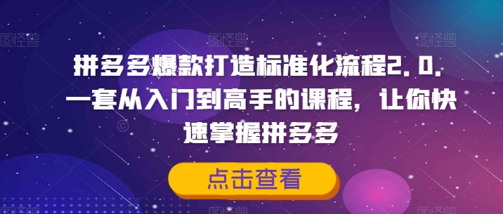 拼多多爆款打造标准化流程2.0,一套从入门到高手的课程,让你快速掌握拼多多-风淘社