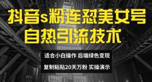 抖音s粉连怼美女号自热引流技术复制粘贴，20天万粉账号，无需实名制，矩阵操作【揭秘】-风淘社