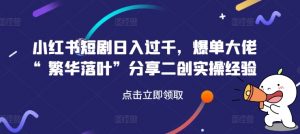 小红书短剧日入过千，爆单大佬“繁华落叶”分享二创实操经验-风淘社
