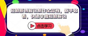 短剧原创解说制作全流程,新手必看,快速掌握短剧解说-风淘社
