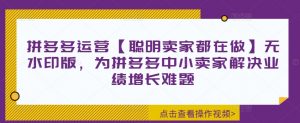 拼多多运营【聪明卖家都在做】无水印版,为拼多多中小卖家解决业绩增长难题-风淘社