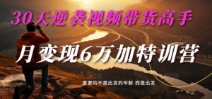 30天逆袭视频带货高手,单月变现6万加特训营-麦子甜-风淘社