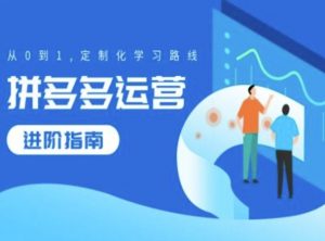 拼多多运营进阶指南,从0到1定制化学习路线-风淘社