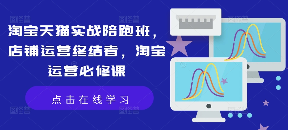 淘宝天猫实战陪跑班,店铺运营终结者,淘宝运营必修课-风淘社
