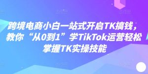 跨境电商小白一站式开启TK搞钱,教你“从0到1”学TikTok运营轻松掌握TK实操技能-风淘社