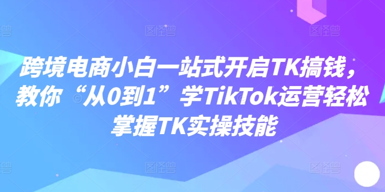 跨境电商小白一站式开启TK搞钱，教你“从0到1”学TikTok运营轻松掌握TK实操技能-风淘社