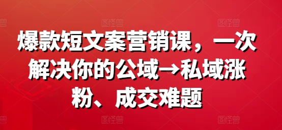 爆款短文案营销课,一次解决你的公域→私域涨粉、成交难题-风淘社