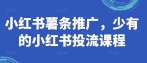 小红书薯条推广,少有的小红书投流课程-风淘社