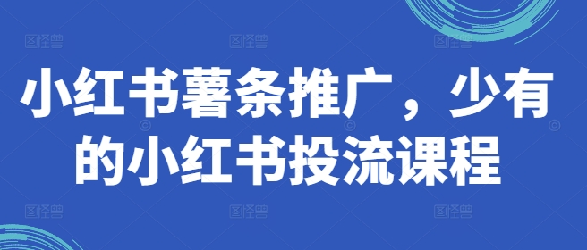 小红书薯条推广,少有的小红书投流课程-风淘社