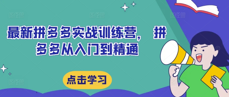 最新拼多多实战训练营, 拼多多从入门到精通-风淘社