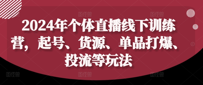 2024年个体直播训练营，起号、货源、单品打爆、投流等玩法-风淘社