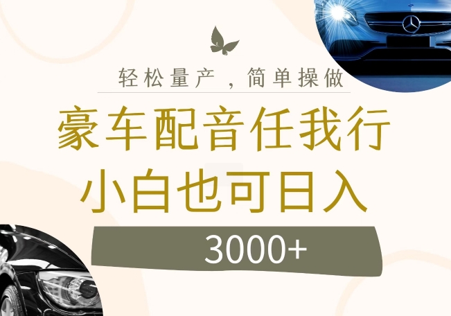 不为人知的暴力小项目，豪车配音，日入几张【揭秘】-风淘社