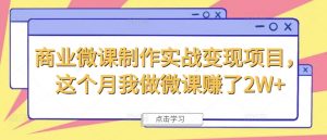 商业微课制作实战变现项目,这个月我做微课赚了2W+-风淘社