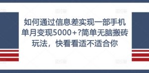 如何通过信息差实现一部手机单月变现5000+?简单无脑搬砖玩法，快看看适不适合你【揭秘】-风淘社