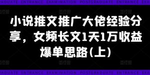 小说推文推广大佬经验分享,女频长文1天1万收益爆单思路(上)-风淘社