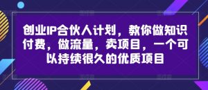 创业IP合伙人计划，教你做知识付费，做流量，卖项目，一个可以持续很久的优质项目-风淘社