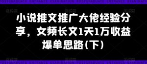 小说推文推广大佬经验分享,女频长文1天1万收益爆单思路(下)-风淘社