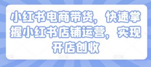 小红书电商带货,快速掌握小红书店铺运营,实现开店创收-风淘社