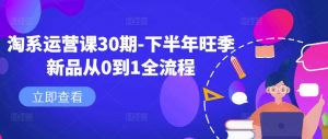 淘系运营课30期-下半年旺季新品从0到1全流程-风淘社