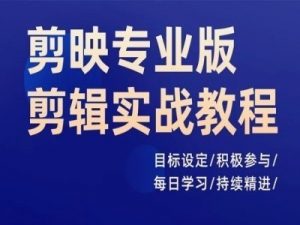 剪映专业版剪辑实战教程,目标设定/积极参与/每日学习/持续精进-风淘社