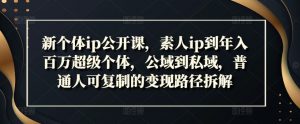 新个体ip公开课,素人ip到年入百万超级个体,公域到私域,普通人可复制的变现路径拆解-风淘社