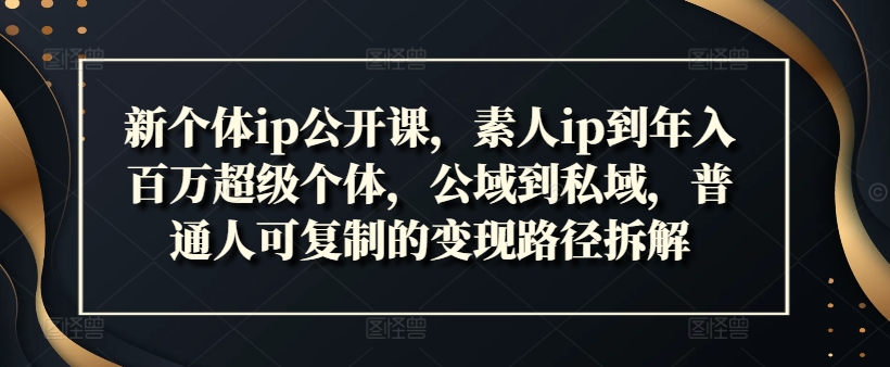 新个体ip公开课,素人ip到年入百万超级个体,公域到私域,普通人可复制的变现路径拆解-风淘社