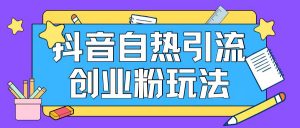 抖音引流创业粉自热玩法日引200+精准粉-风淘社