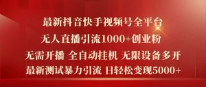最新抖音快手视频号全平台无人直播引流1000+精准创业粉,日轻松变现5k+【揭秘】-风淘社