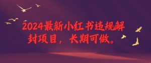 2024最新小红书违规解封项目，长期可做，一个可以做到退休的项目【揭秘】-风淘社