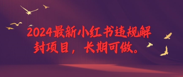2024最新小红书违规解封项目,长期可做,一个可以做到退休的项目【揭秘】-风淘社