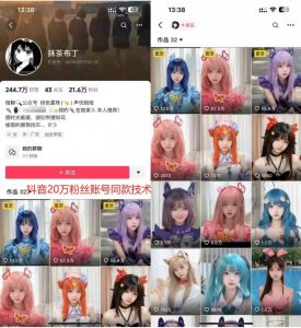 云天二次元美女起号教学，月涨10万粉丝，不判搬运-风淘社