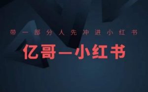 ​​带一部分人先冲进小红书，小红书开店、选品、爆款裂变-风淘社