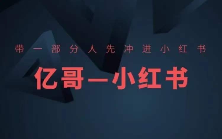 ​​带一部分人先冲进小红书，小红书开店、选品、爆款裂变-风淘社