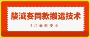 抖音96万粉丝账号【嫠㵄㚣】同款搬运技术-风淘社