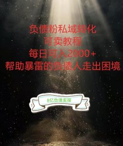 负债粉掘金计划，帮助负债者解决问题，债务规划，债务重组，最好的变现方式【揭秘】-风淘社