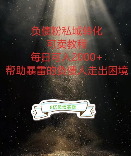 负债粉掘金计划，帮助负债者解决问题，债务规划，债务重组，最好的变现方式【揭秘】-风淘社