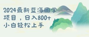 国学项目,长期蓝海可矩阵,从0-1的过程【揭秘】-风淘社