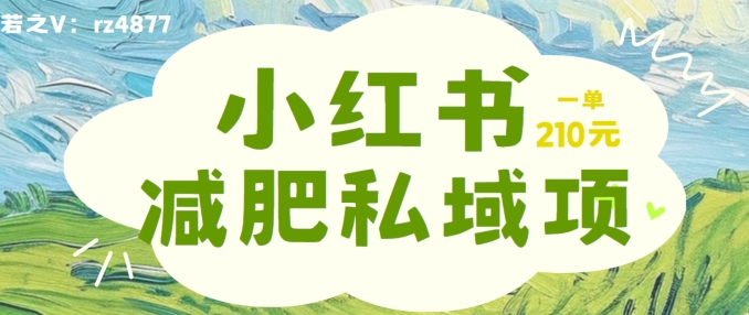小红书减肥粉,私域变现项目,一单就达210元,小白也能轻松上手【揭秘】-风淘社