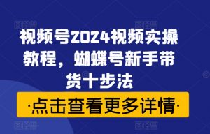 视频号2024视频实操教程,蝴蝶号新手带货十步法-风淘社