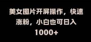 美女图片开屏操作，快速涨粉，小白也可日入1k【揭秘】-风淘社