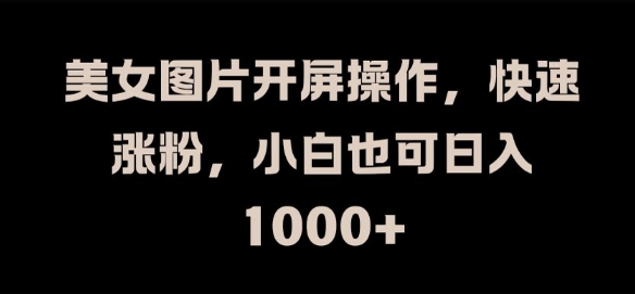 美女图片开屏操作，快速涨粉，小白也可日入1k【揭秘】-风淘社