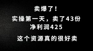 这个资源，需求很大，实操第一天卖了43份，净利润425【揭秘】-风淘社