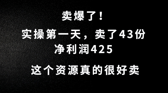 这个资源,需求很大,实操第一天卖了43份,净利润425【揭秘】-风淘社