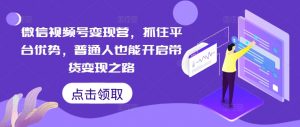 微信视频号变现营,抓住平台优势,普通人也能开启带货变现之路-风淘社
